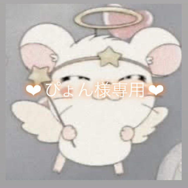 ❤︎ ぴょん様専用 ❤︎ 【メーカー直売】 www.bluepractice.co.jp