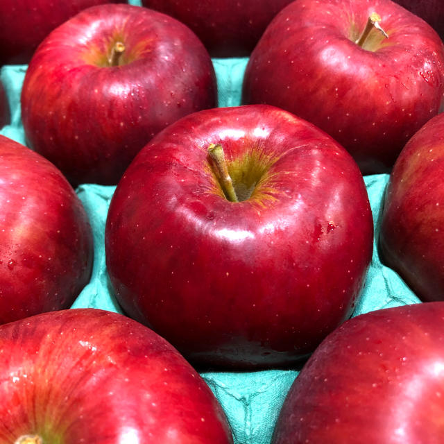 青森りんご 葉とらず 紅玉 10kg 一般用 食品/飲料/酒の食品(フルーツ)の商品写真