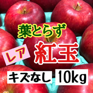 青森りんご 葉とらず 紅玉 10kg 一般用(フルーツ)