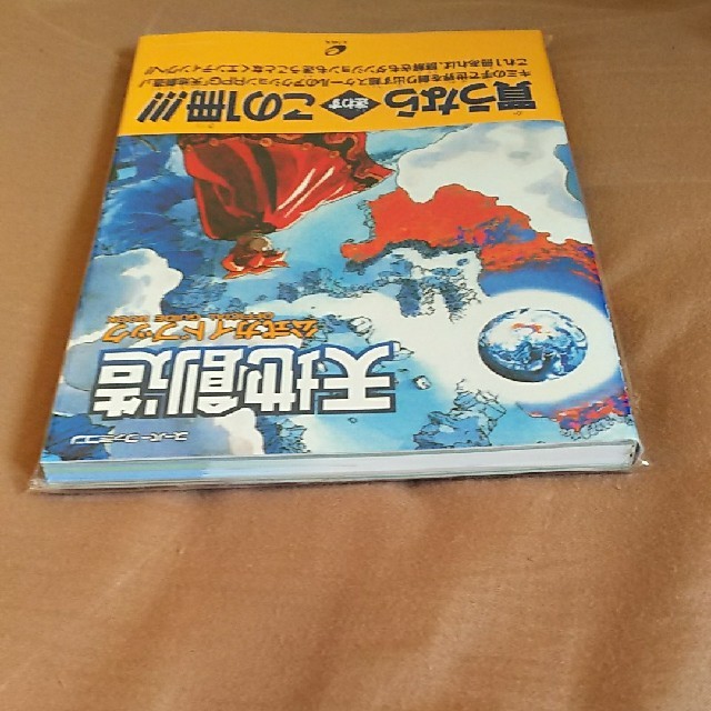 売り 天地創造 攻略本2冊+ゲームブック - avante.org.br