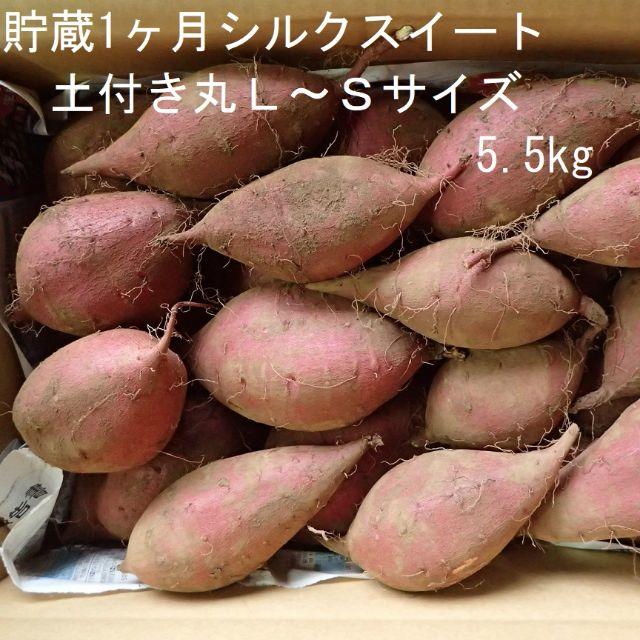 土付き「丸S～L混」掘りたてシルクスイート5.5kg長期保存さつまいも農家直送 食品/飲料/酒の食品(野菜)の商品写真