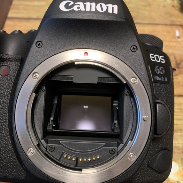 Canon(キヤノン)の送料込み 超美品！ Canon EOS 6D MarkIIボディ スマホ/家電/カメラのカメラ(デジタル一眼)の商品写真