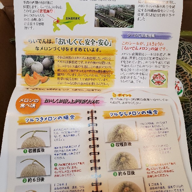 タイムセール!!　光センサー選果で安心の甘さ。北海道産「赤肉　らいでんメロン」 食品/飲料/酒の食品(フルーツ)の商品写真