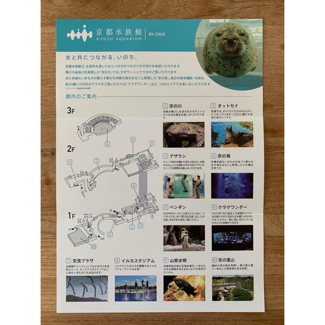 京都水族館 年間パスポート 引換券2枚
