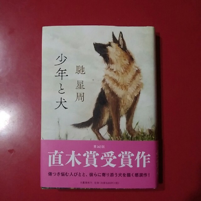 少年と犬       馳  星周 エンタメ/ホビーの本(文学/小説)の商品写真