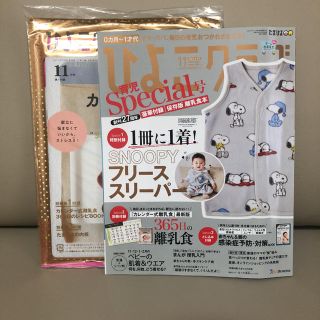 ひよこクラブ 2020年 11月号　付録なし、離乳食本あり(結婚/出産/子育て)