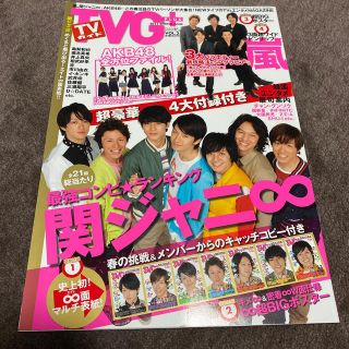 ジャニーズ(Johnny's)のTVガイドPLUS 2011 spring(アイドルグッズ)