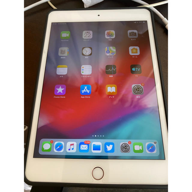 初回特典付 iPad mini5 Cellular simフリー 64GB - www.sidlab.se