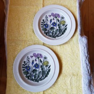 アラビア(ARABIA)のARABIA　フローラ　Flora　プレート2枚セット　20cm(食器)