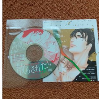 左京亜也  Dear+ １１月号 付録CD(ボーイズラブ(BL))