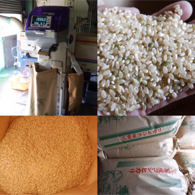 減農薬米 令和２年新米 三重県産 コシヒカリ 玄米15キロ 10kg＋ 5kg
