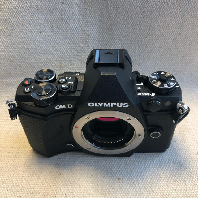 OLYMPUS(オリンパス)のOLYMPUS OM-D E-M5 Mark 2 （ボディーのみ）たー君専用！ スマホ/家電/カメラのカメラ(ミラーレス一眼)の商品写真