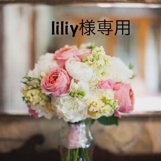 ダイアナ(DIANA)のliliy様専用(サンダル)