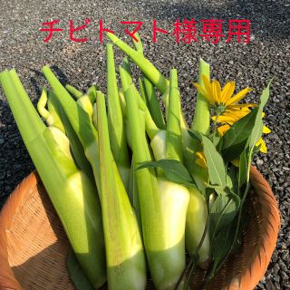 マコモダケ2kg(野菜)