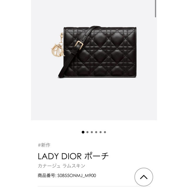 Christian Dior(クリスチャンディオール)の❤️s様専用❤️ディオール レディーディオール バッグ レディースのバッグ(ショルダーバッグ)の商品写真