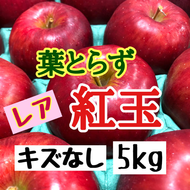 青森りんご 葉とらず 紅玉 5kg 一般用 食品/飲料/酒の食品(フルーツ)の商品写真