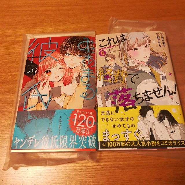 これは経費で落ちません！  ５　みにあまる彼氏９ エンタメ/ホビーの漫画(少女漫画)の商品写真