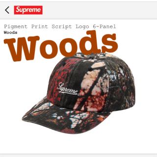 シュプリーム(Supreme)のSupreme Pigment Print Script Logo 6Panel(キャップ)