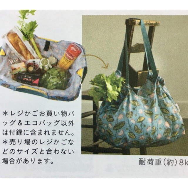 HOUSE OF LOTUS レジかごお買い物バッグ🛍 レディースのバッグ(エコバッグ)の商品写真