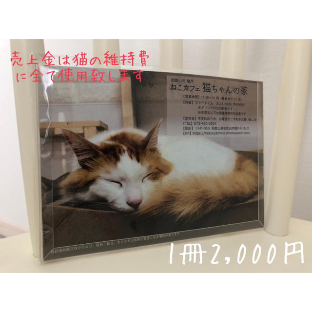 ねこカフェ猫ちゃんの家 2021カレンダーの通販 by にゃんこ｜ラクマ
