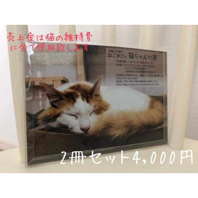 ねこカフェ猫ちゃんの家　2021カレンダー2冊セット