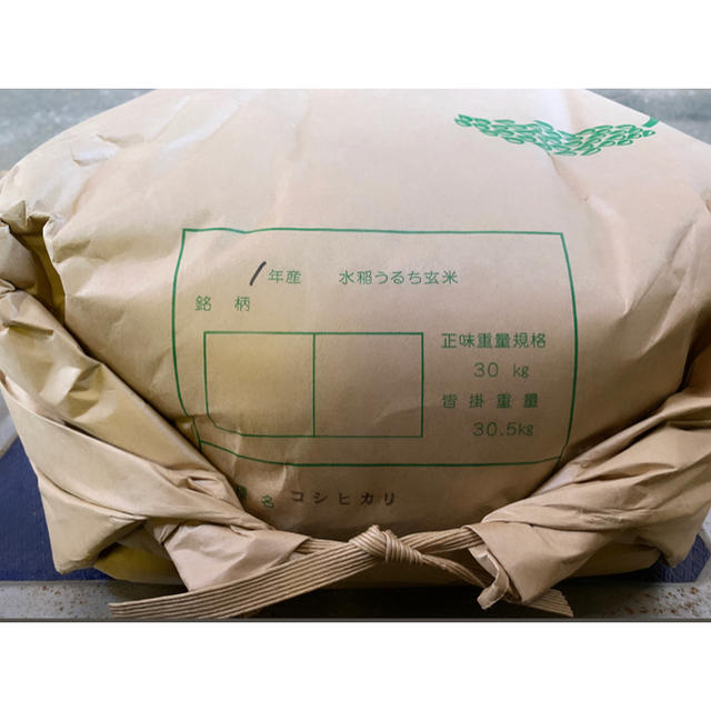 令和2年度 古米 静岡県産 コシヒカリ 30kg 玄米