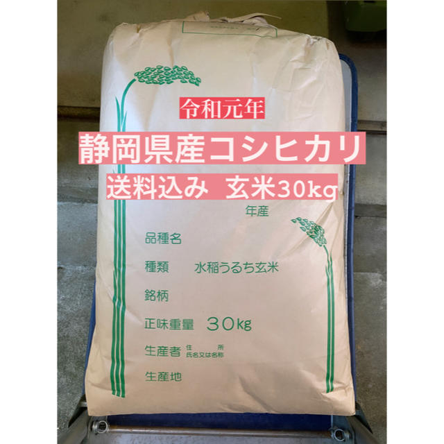 米/穀物令和元年度 古米 静岡県産 コシヒカリ 30kg 玄米