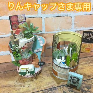 多肉植物の寄せ植え　丘の上のカフェバー6号店　リメ缶(ワンコのケーキ屋さん)(その他)