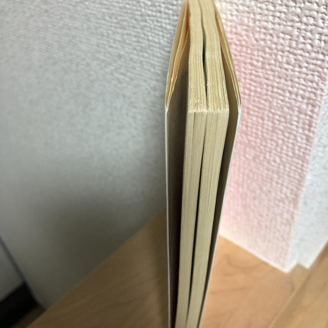 岩波書店(イワナミショテン)の景気と国際金融 エンタメ/ホビーの本(ビジネス/経済)の商品写真