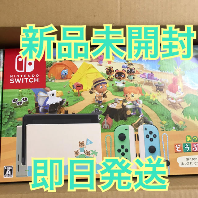 Nintendo Switch あつまれ どうぶつの森セット - 家庭用ゲーム機本体