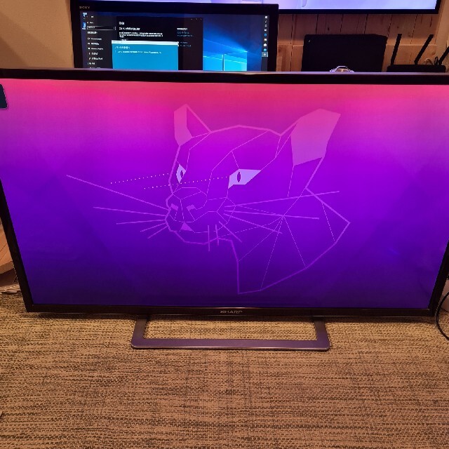 you様専用SHARP AQUOS 40インチ テレビ LC-40F5-R 大きな取引 lecoupe