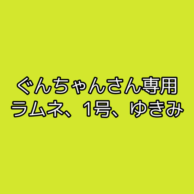 専用 その他のその他(その他)の商品写真