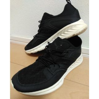 プーマ(PUMA)のPUMA プーマ 26㎝ メンズ スニーカー 靴 シューズ  EVO KNIT(スニーカー)