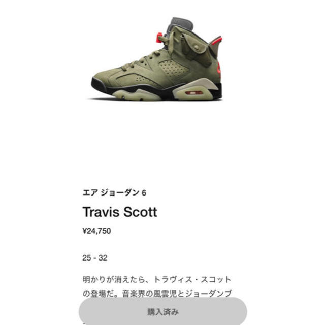 靴/シューズNike Air Jordan 6 travis scott 29cm