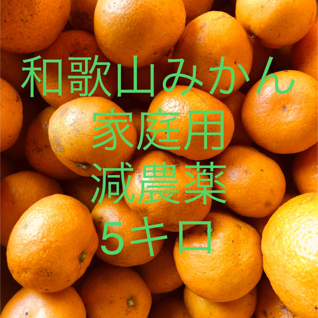 和歌山　みかん　5キロ 家庭用　サイズ混合 食品/飲料/酒の食品(フルーツ)の商品写真