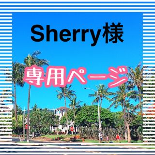 ステラルー(ステラ・ルー)のSherry様　専用ページ　(エコバッグ)