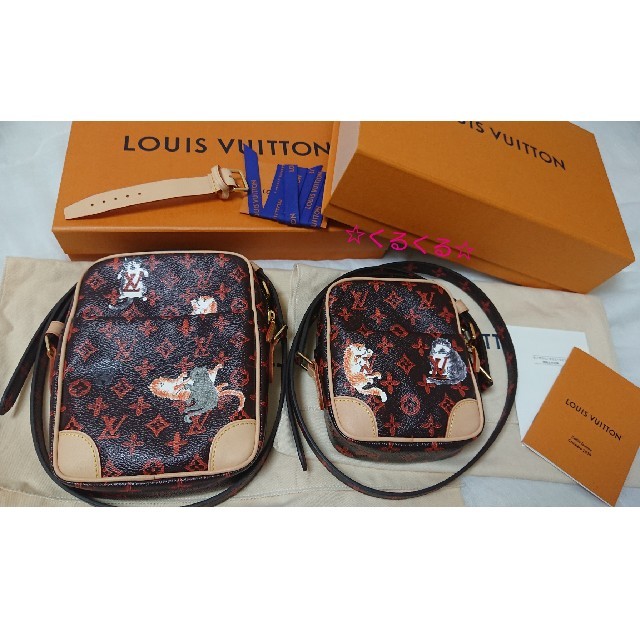 LOUIS VUITTON(ルイヴィトン)の激レア！新品未使用 ルイヴィトン キャットグラム パナム レディースのバッグ(ショルダーバッグ)の商品写真