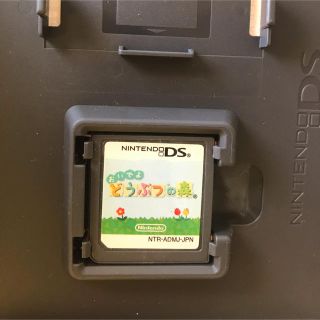 ニンテンドーDS(ニンテンドーDS)のおいでよどうぶつの森(家庭用ゲームソフト)