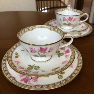 ノリタケ(Noritake)のノリタケ★シクラメンタッチ★トリオ　ペア(食器)