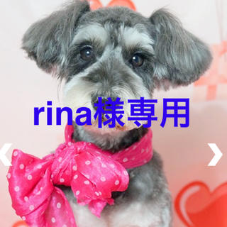 Rina様　専用(ダイエット食品)