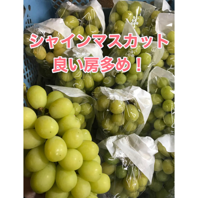 長野県産シャインマスカット 粒 ４キロ