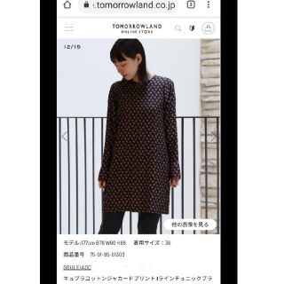 トゥモローランド(TOMORROWLAND)の【みに様専用】2019AW トゥモローランド チュニックブラウス　ワンピ(ひざ丈ワンピース)