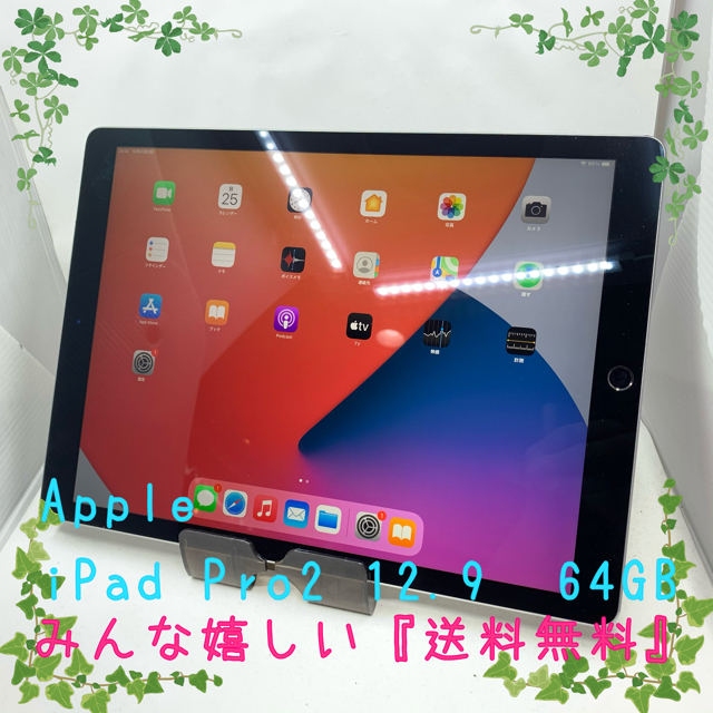 SIMフリー iPad Pro 第2世代 12.9インチ 64GB #5付属品本体のみ