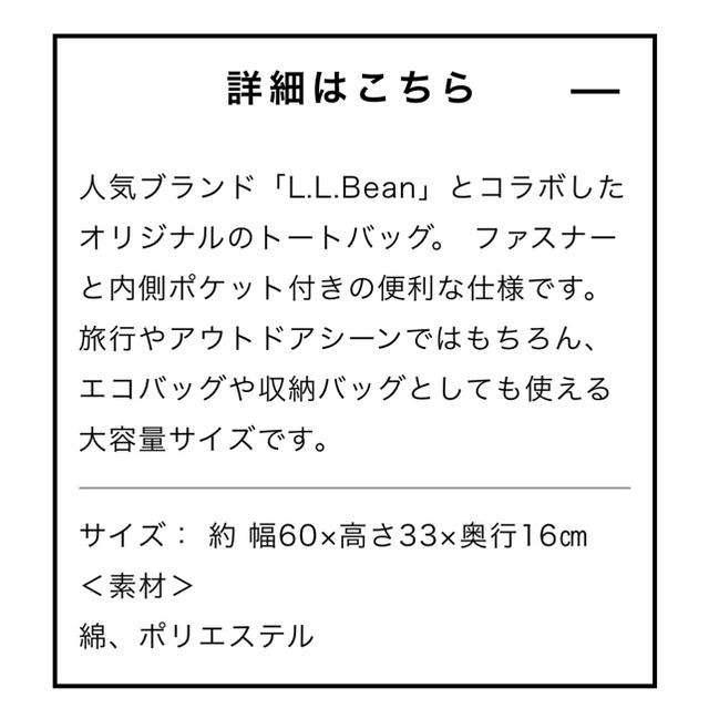 L.L.Bean(エルエルビーン)の【#D様専用】マウントレーニア トート L.L.Bean コラボ メンズのバッグ(トートバッグ)の商品写真