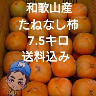 和歌山県紀の川市産 まーくん家のたねなし柿 5キロ箱(フルーツ)