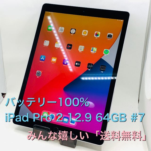 電池100％ iPad Pro 第2世代 12.9 64GB Wi-Fi #7付属品本体のみ