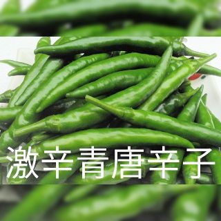 激辛青唐辛子 1kg 無農薬栽培の自家製の通販 by ゆふいんの森's