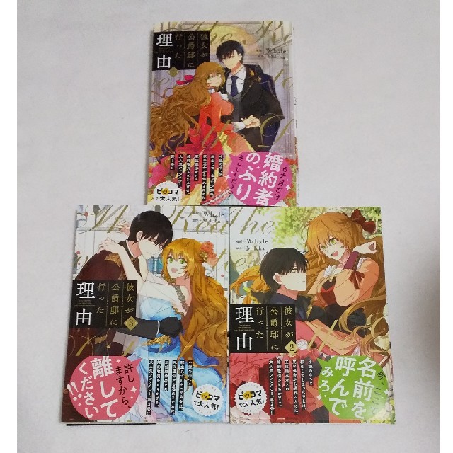 角川書店 彼女が公爵邸に行った理由 1 3の通販 By アンモナイト S Shop カドカワショテンならラクマ 角川書店 彼女が公爵邸に行った理由 1 3の通販 By アンモナイト S Shop カドカワショテンならラクマ
