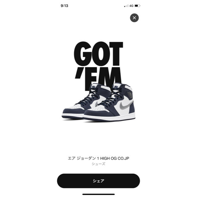 NIKE(ナイキ)のNIKE AIR JORDAN1 CO.JP メンズの靴/シューズ(スニーカー)の商品写真