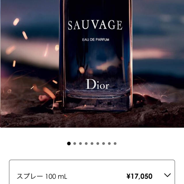 ディオール ソヴァージュ オードゥ パルファン 100ml